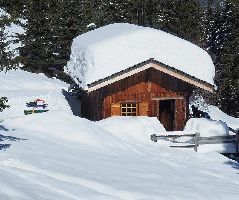 Les Prés de la Croix - Chalet à la Tania entre Courchevel et Méribel | Une aventure Insolite.